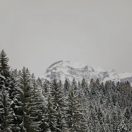 Hygna Chalet *
