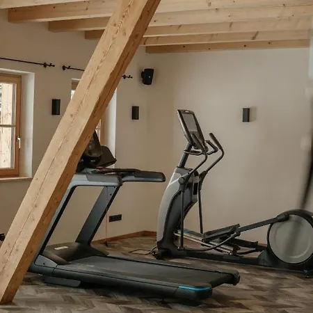 Chalet Hygna Reith im Alpbachtal