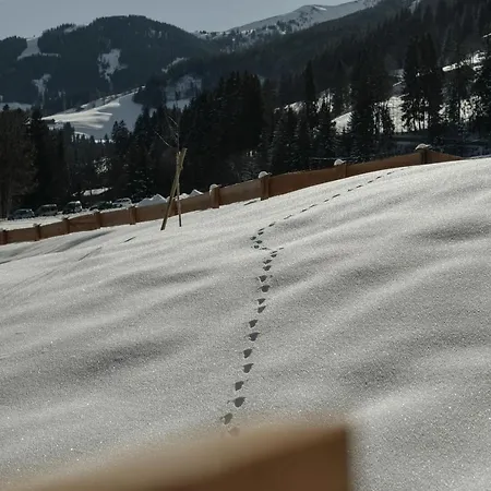 Chalet Hygna *