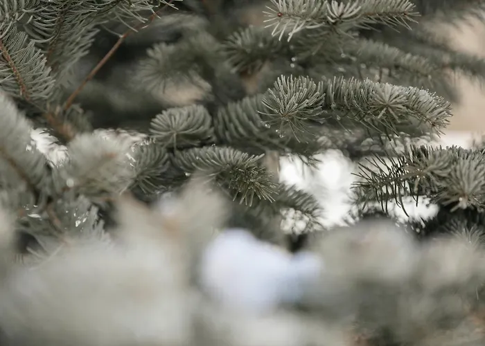 Hygna شاليه ريث ام الباختال